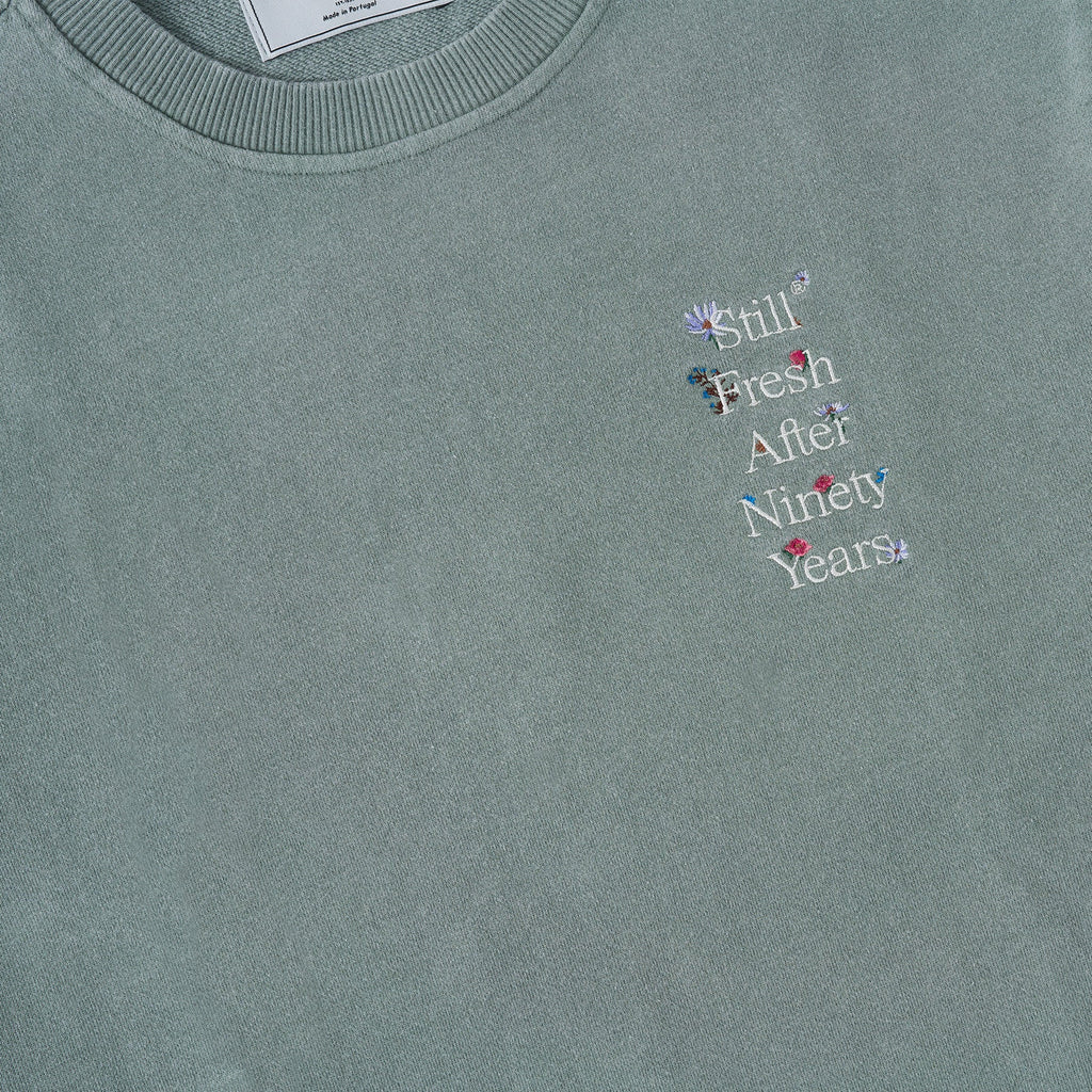 Camiseta Sanjo Faded Still Fresh // Botella