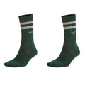 Sanjo Still Fresh Socks // Grün & Ecru Pack